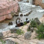 Rapids Ride