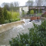 Rapids Ride