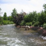 Waschzuber-Rafting, Tripsdrill Waschzuber-Rafting