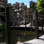 Flume Ride