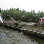 Log Flume